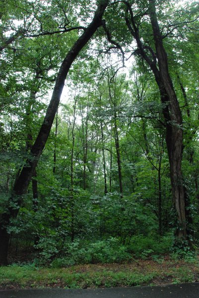 DSC_4903.JPG