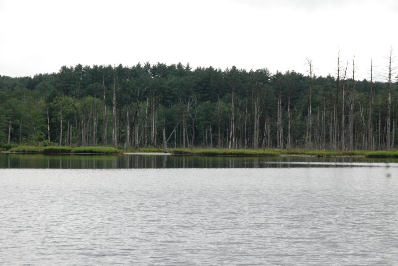 DSC_4919.JPG