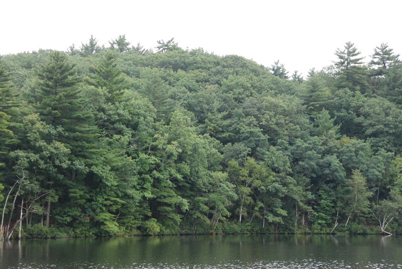 DSC_4921.JPG