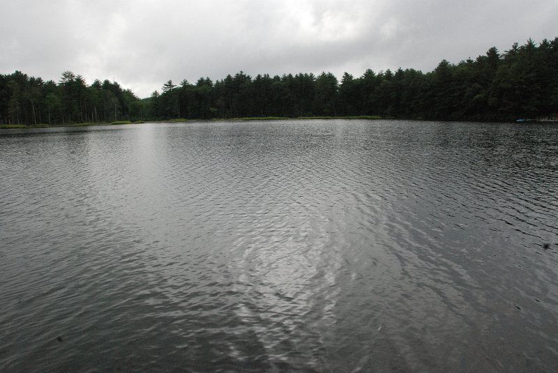 DSC_4922.JPG
