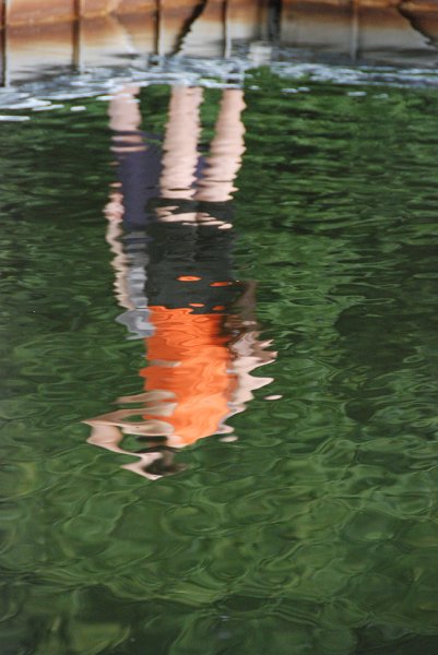 DSC_4947.JPG