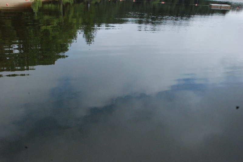 DSC_4955.JPG