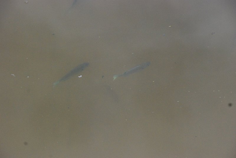 DSC_4956.JPG