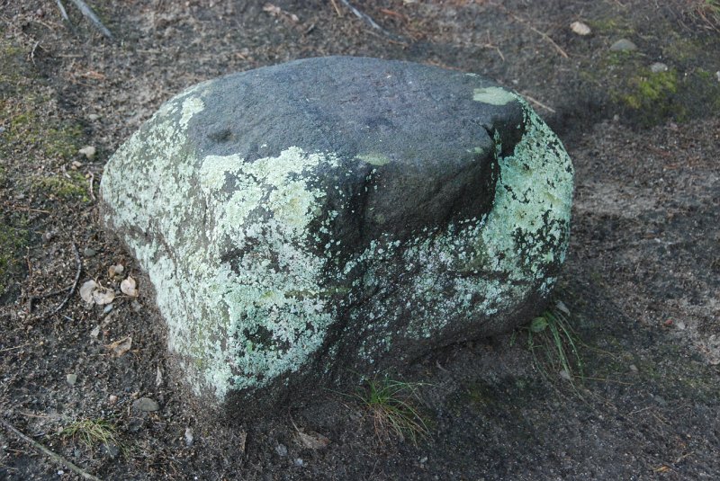 DSC_4962.JPG